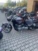Suzuki intruder Vl1500 zadbany i dużo innych - 12