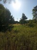 DZIAŁKA ROLNA 3000m2 BLISKO PUSZCZY LEONCIN - 13