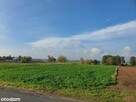 Działka rolna | 8313m2 | III klasa ziemi | - 6
