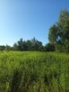 DZIAŁKA ROLNA 3000m2 BLISKO PUSZCZY LEONCIN - 4