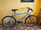 Rower Romet MTB ( 19 Rama ) - 2