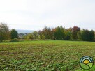 Radwanowice gm. Zabierzów - widokowa 53-arowa działka rolna - 4