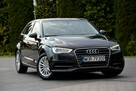 Audi A3 2.0TDI(150KM)   bi-xenon Ledy  Navi Alu 16 2xParktronic Serwisowany - 8