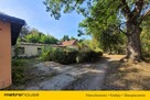 Działka budowlana 2.6 ha z zabytkowym pałacem. - 5