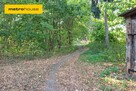 Działka budowlana 2.6 ha z zabytkowym pałacem. - 7