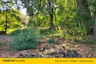 Działka budowlana 2.6 ha z zabytkowym pałacem. - 8