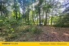 Działka budowlana 2.6 ha z zabytkowym pałacem. - 11