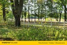 Działka budowlana 2.6 ha z zabytkowym pałacem. - 13