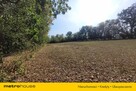 Działka budowlana 2.6 ha z zabytkowym pałacem. - 15