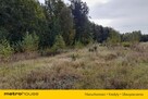 Działka budowlana w Olszycu Włościaskim - 12