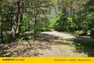 Działka rolno-budowlana w miejscowości Żdżary - 2