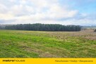 DZIAŁKA Z WIDOKIEM NA LAS - 2