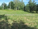 Działka Szczęsne gm. Grodzisk Mazowiecki - 4