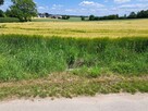 Działka budowlana Wielmoża gm. Sułoszowa - 1