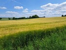 Działka budowlana Wielmoża gm. Sułoszowa - 5