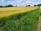 Działka budowlana Wielmoża gm. Sułoszowa - 3