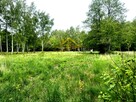 Działka siedliskowa Budy Michałowskie gm. Jaktorów - 1