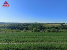Działka rolna Sadek gm. Jodłownik - 4