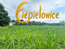 Działka budowlana Ciepielowice gm. Dąbrowa, Magnoliowa - 1