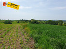 Działka budowlana Szczepanowice gm. Miechów, - 9