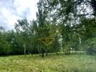 Działka siedliskowa Budy Michałowskie gm. Jaktorów - 4