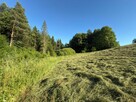 Działka budowlana - Berezka, Bieszczady - 4