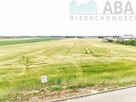 DZIAŁKI BUDOWLANE – SADLNO, gm. WIERZBINEK - 9