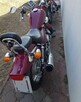 Chopper Rex 125 - 3