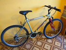 Rower Romet MTB ( 19 Rama ) - 1
