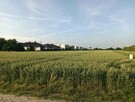 działka budowlana - 4