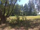Duża działka w otulinie Kampinosu, Dąbrowa , gm. Łomianki - 13