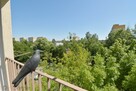 Mieszkanie Wrocław Psie Pole, Psie Pole, Poleska - 9