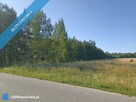 Działka rolno-budowlana w Kamieniu - 3