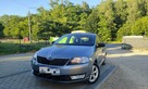 Škoda RAPID 2013 benzyna 2kpl.kół, bezwypadkowy - 11