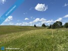 Działka na Mazurach ze stawem, 2km do jeziora, Dzwierzuty - 4