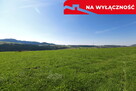 Działa w Grywałdzie z możliwością uzyskania WZ - 6