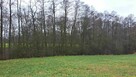 walce działka rolna z możliwością zabudowy - 7