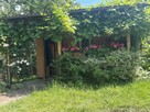 Sprzedam działkę ! - 4