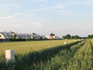 działka budowlana - 8