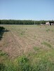 Działka Rolna - 2