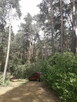 Leśna działka budowlana nad Pilicą - 3