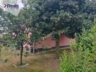 Dwa domy - 172 i 45 m2 p.m., do różnego wykorzyst. - 15