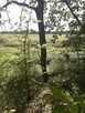 Leśna działka budowlana nad Pilicą - 6