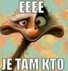 Szukam kobiety której brakuje faceta. Popiszemy na początek? - 2