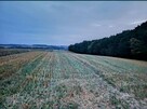 Sprzedam działki rolne - 2