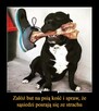 Poznajmy się - 4