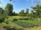 Dom z klimatem, duża działka – Myśliborskie Holendry - 7