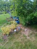 Sprzedam prawo do dzierżawy działki ROd w Stargardzie - 4