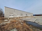 Lokal użytkowy Ryki, Ryki - 5
