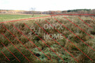 Działka usługowa Mierzyno gm. Gniewino, - 10